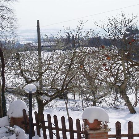 Belvedere Cramaccioli Vigne エクステリア 写真