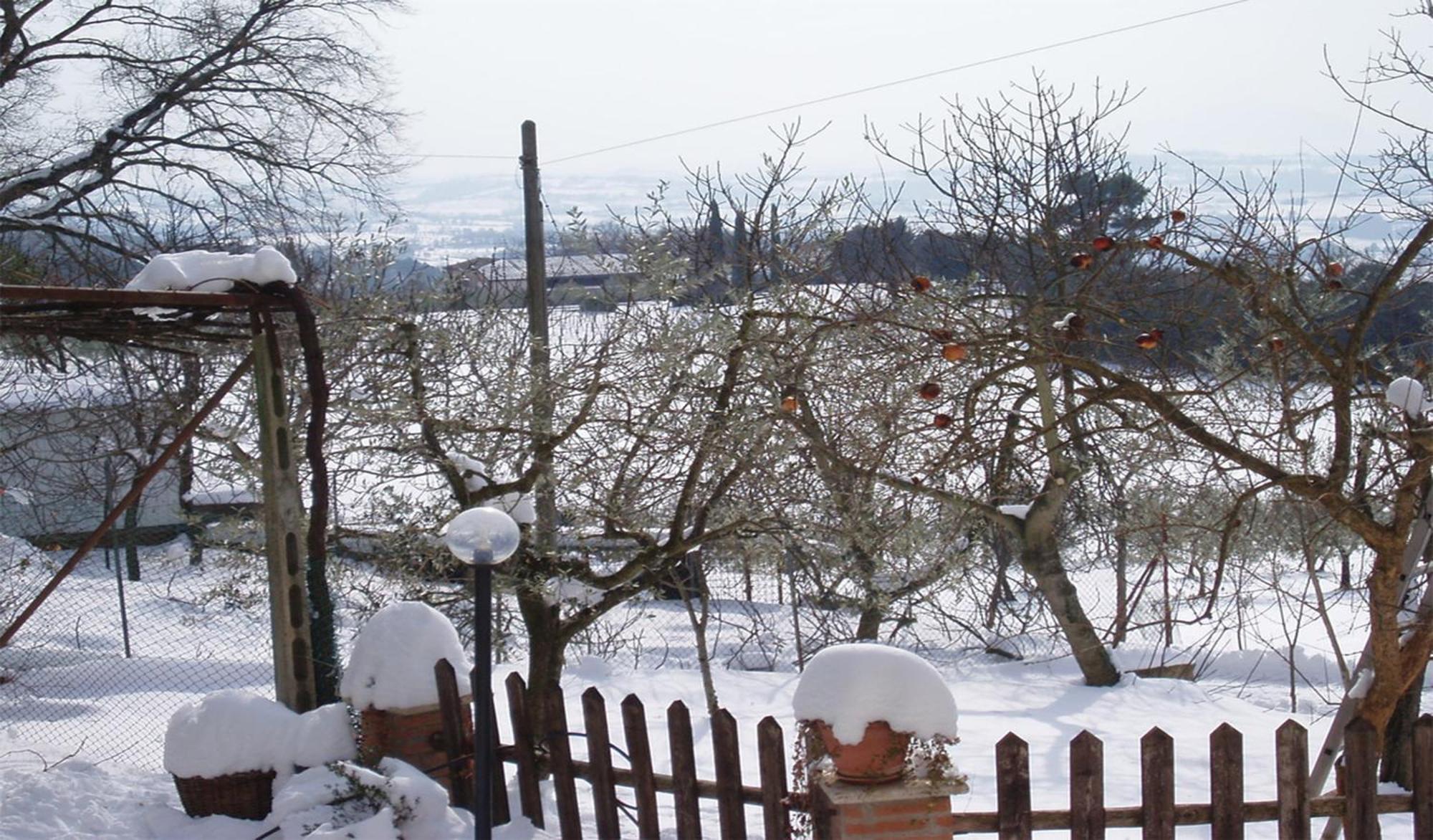 Belvedere Cramaccioli Vigne エクステリア 写真
